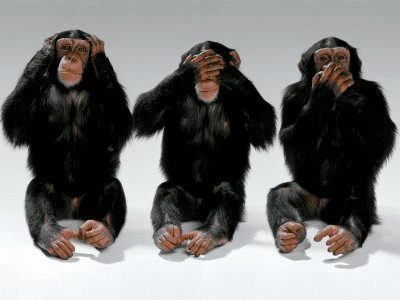 hear,speak, see no evil