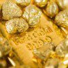 PD-Gold-Nuggets8-300x199