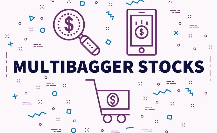 What Are Multi-bagger Stocks? - MunKNEE.com