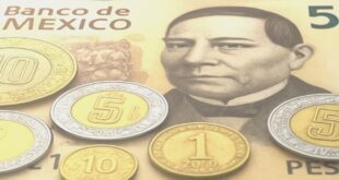 Munknee-MexicanCurrency