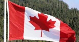Canada Flag - Water & Trees